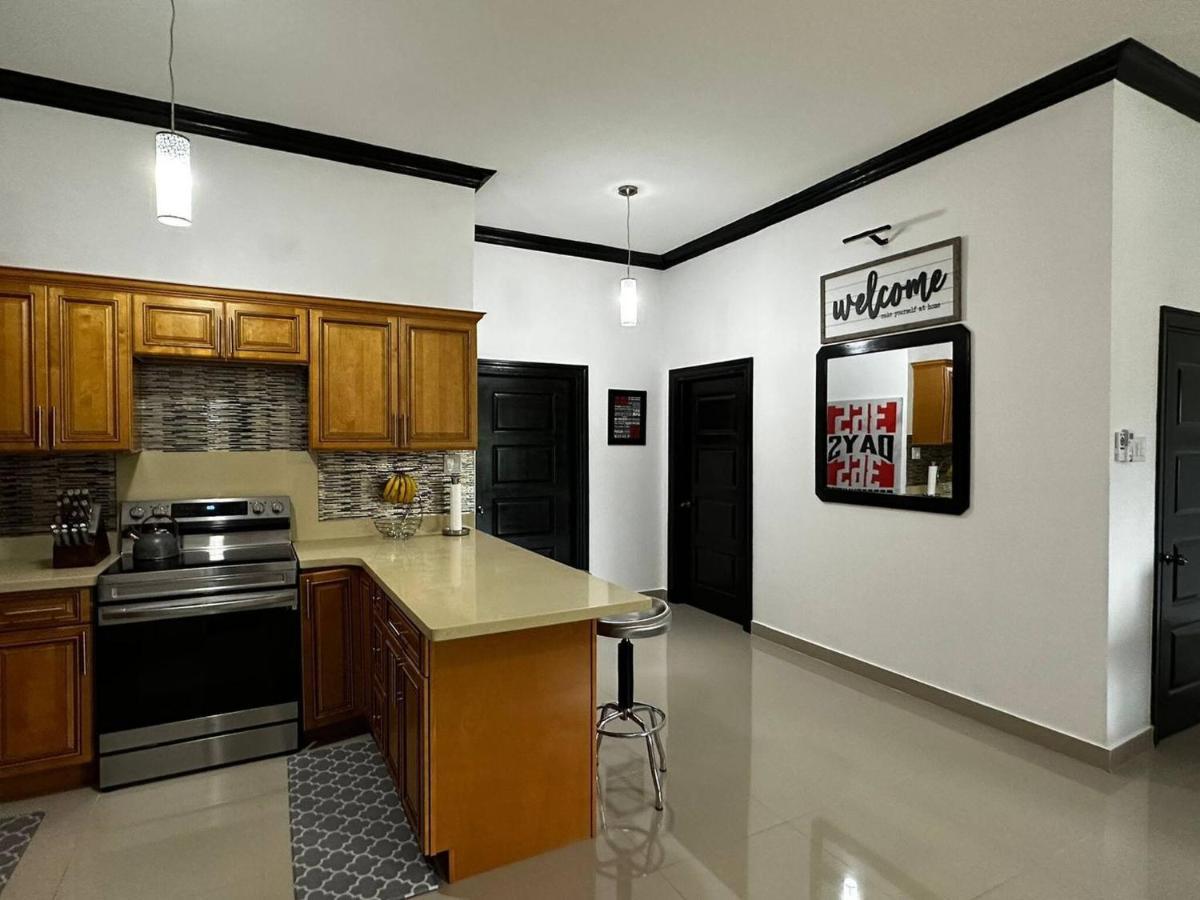 Brand New Pool Manor Park With Wifi Centrally-Located Κίνγκστον Εξωτερικό φωτογραφία